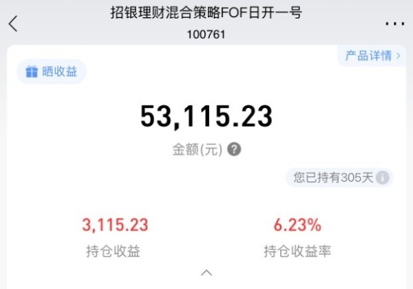 银行力推FOF：年内新发近千亿，超九成产品正收益