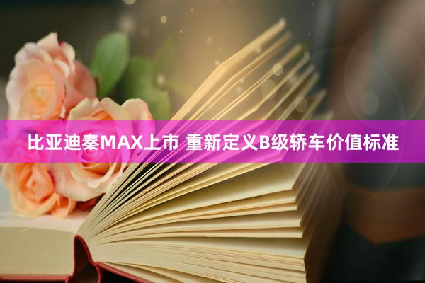 比亚迪秦MAX上市 重新定义B级轿车价值标准