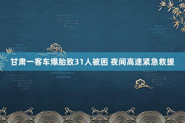 甘肃一客车爆胎致31人被困 夜间高速紧急救援