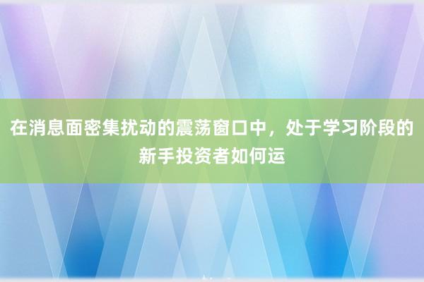 在消息面密集扰动的震荡窗口中，处于学习阶段的新手投资者如何运