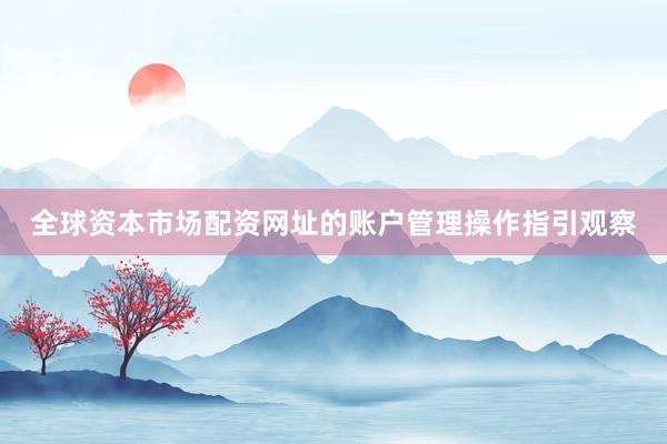全球资本市场配资网址的账户管理操作指引观察