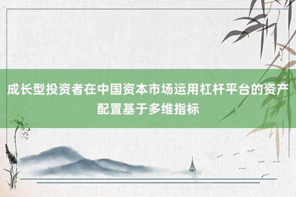 成长型投资者在中国资本市场运用杠杆平台的资产配置基于多维指标