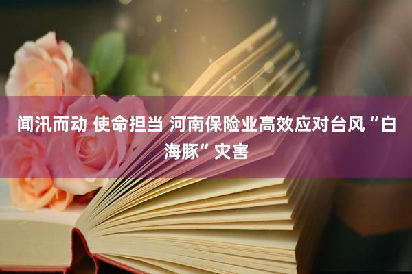 闻汛而动 使命担当 河南保险业高效应对台风“白海豚”灾害