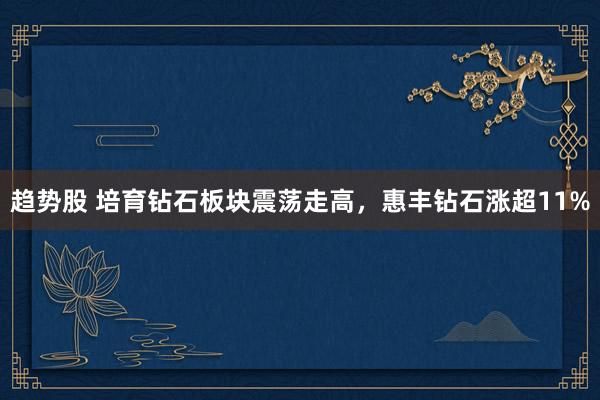 趋势股 培育钻石板块震荡走高，惠丰钻石涨超11%