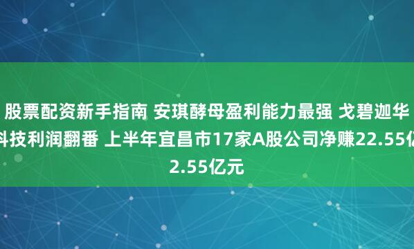 股票配资新手指南 安琪酵母盈利能力最强 戈碧迦华强科技利润翻番 上半年宜昌市17家A股公司净赚22.55亿元