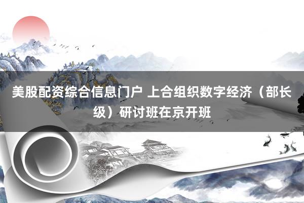 美股配资综合信息门户 上合组织数字经济（部长级）研讨班在京开班