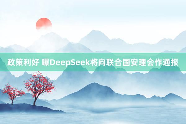 政策利好 曝DeepSeek将向联合国安理会作通报