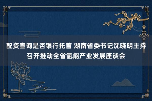 配资查询是否银行托管 湖南省委书记沈晓明主持召开推动全省氢能产业发展座谈会
