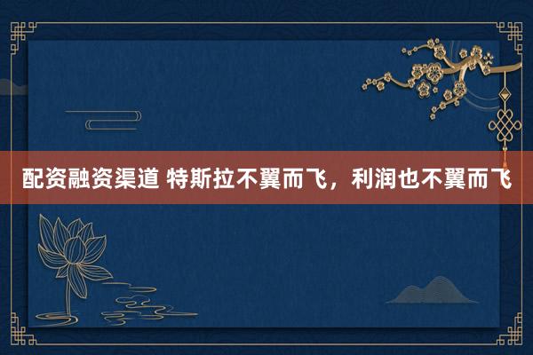 配资融资渠道 特斯拉不翼而飞，利润也不翼而飞