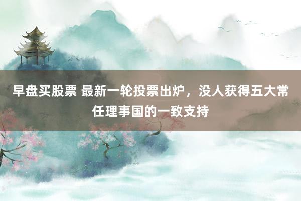 早盘买股票 最新一轮投票出炉，没人获得五大常任理事国的一致支持